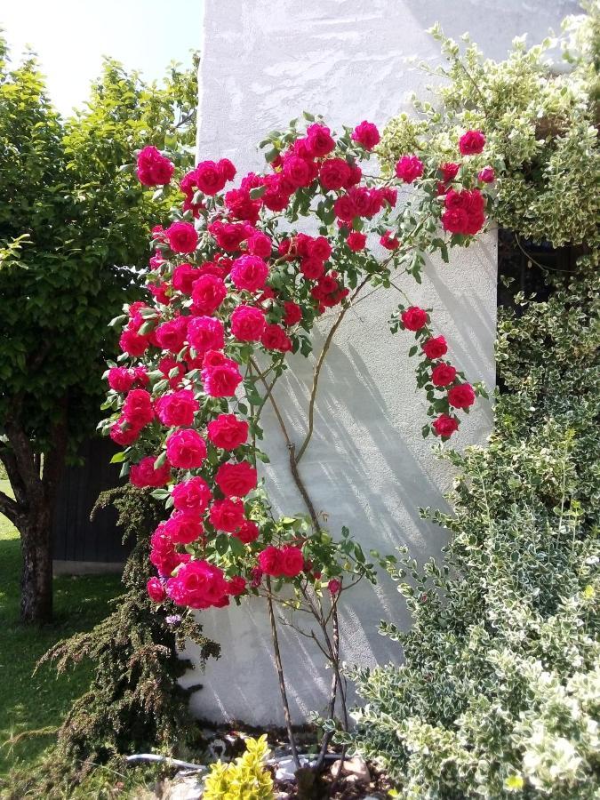 B&B La Casa Di Loretta Paderno Dış mekan fotoğraf