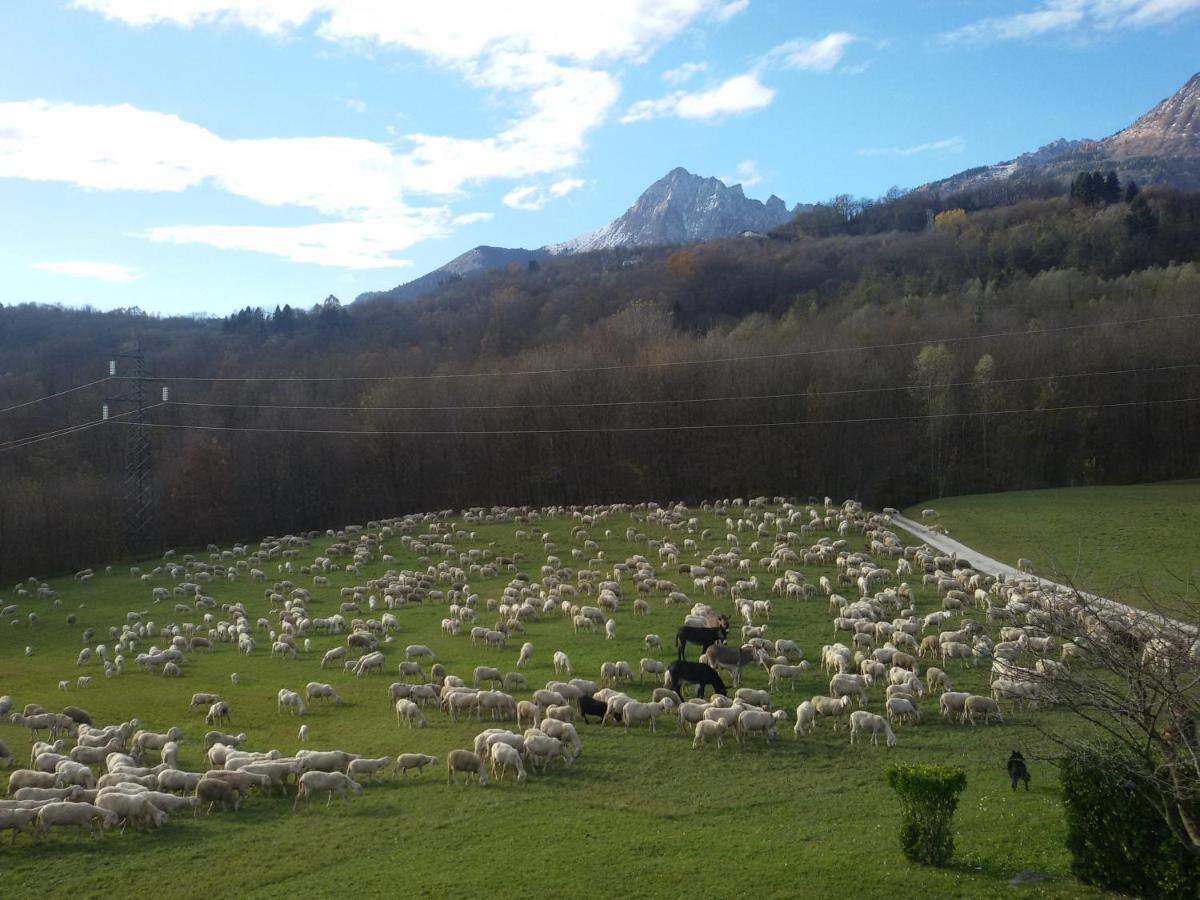 B&B La Casa Di Loretta Paderno Dış mekan fotoğraf