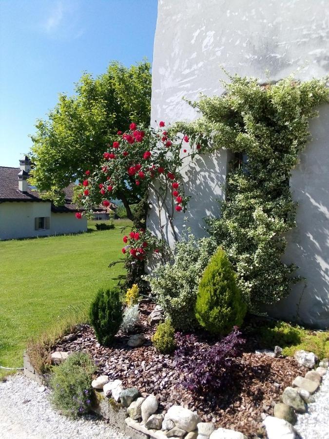 B&B La Casa Di Loretta Paderno Dış mekan fotoğraf